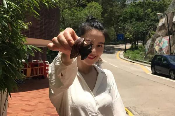 纽约尼克斯vs热火