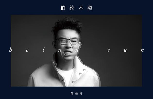 孙伯纶《伯纶·不类?》封面