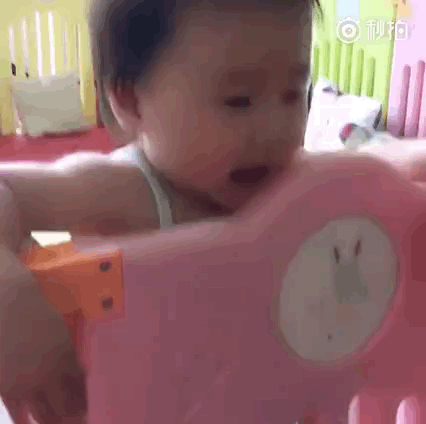 赵文卓女儿动图