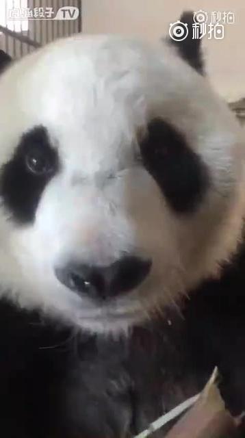 配图来源于网络