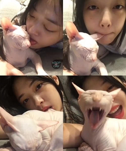 雪莉INS上传视频