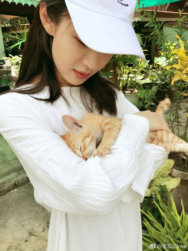 娱乐 明星           [摘要]7月24日晚,李菲儿通过微博晒怀抱小猫的