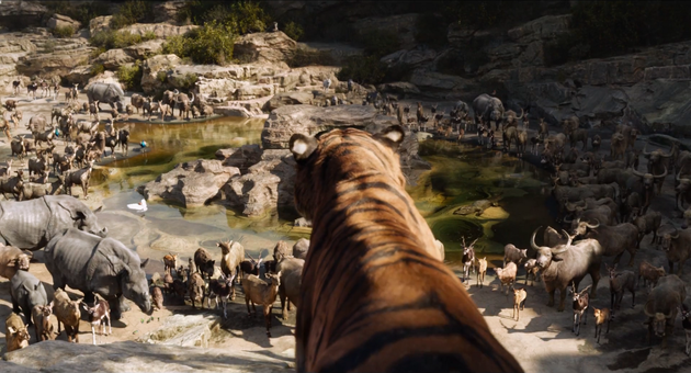 新《狮子王》里，假动物真实程度就是《奇幻森林》的程度