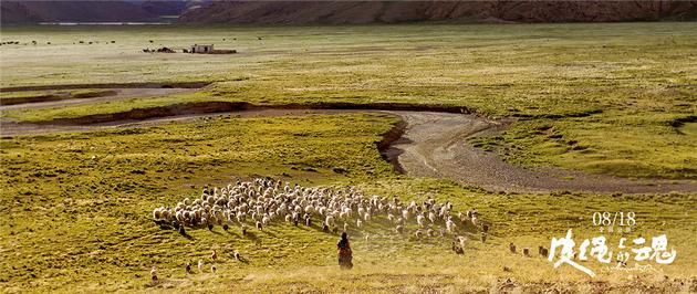 琼在美丽的草原上放羊