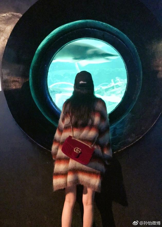 孙怡在水族馆