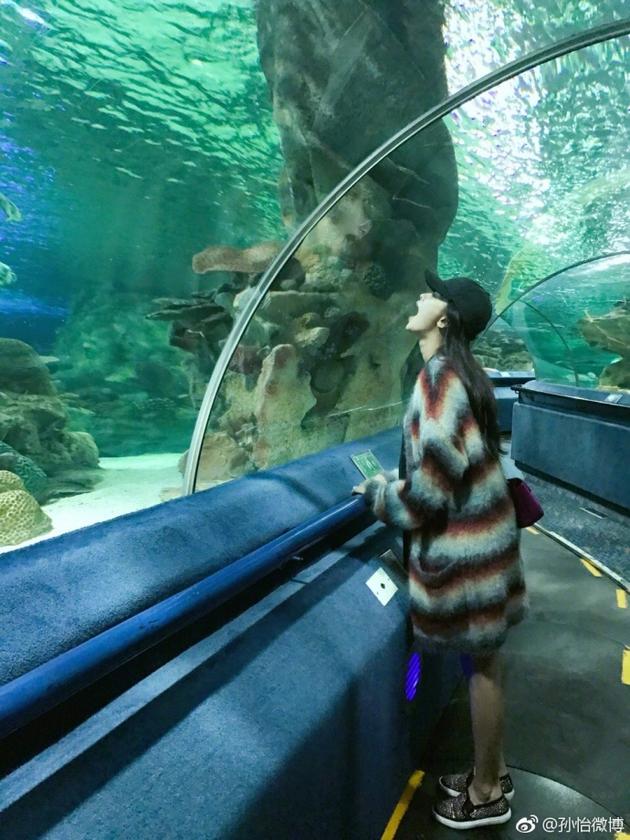 孙怡在水族馆