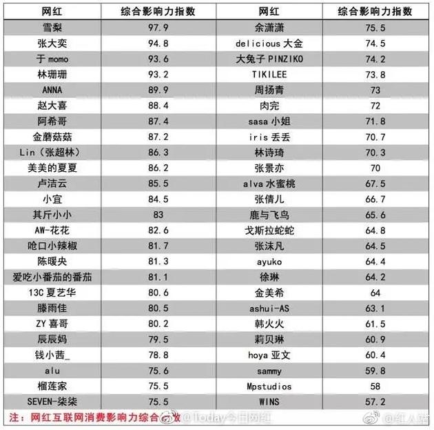 《网红互联网消费影响力指数》 雪梨排名第一