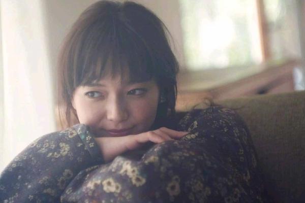 法布雷加斯转会