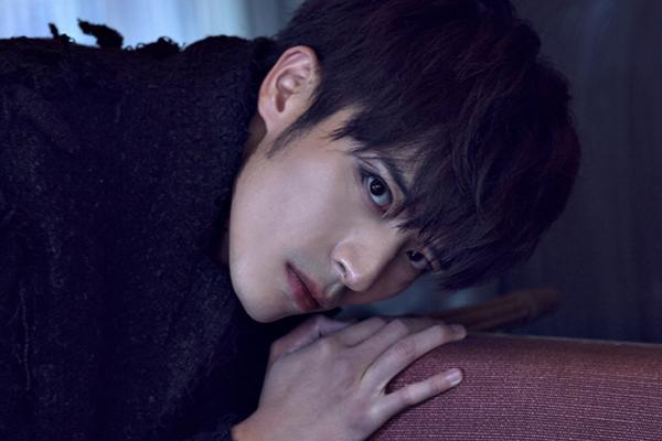 法布雷加斯转会