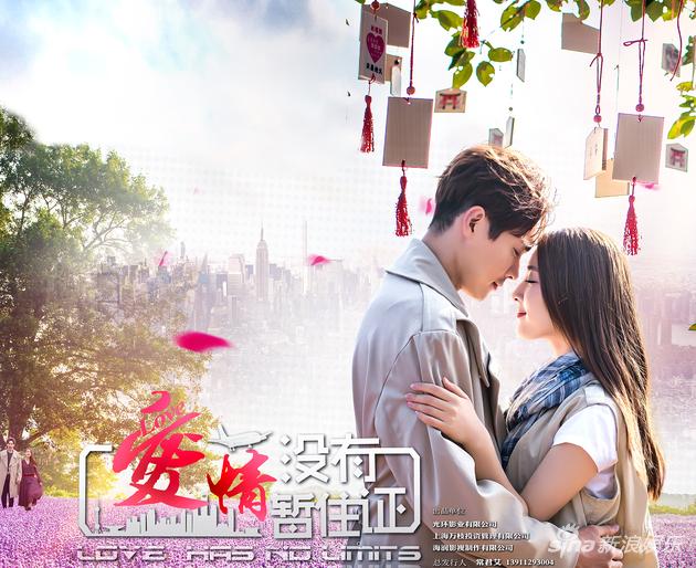 《爱情没有暂住证》海报
