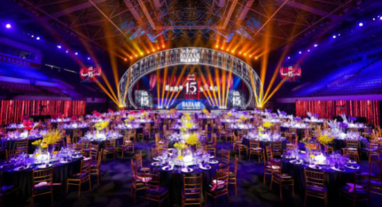 苏芒创办芭莎慈善夜15周年 为爱助力