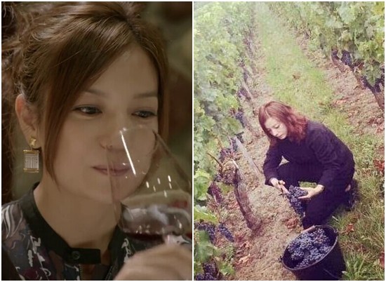赵薇酒庄
