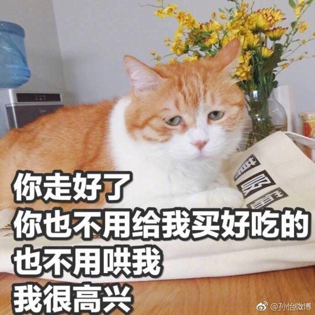 孙怡图片评论