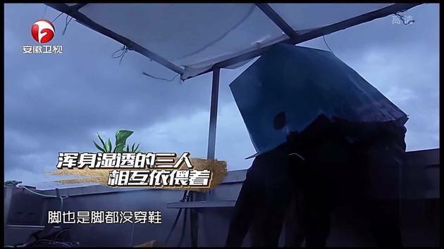三个人躲在纸箱中 神似海绵宝宝