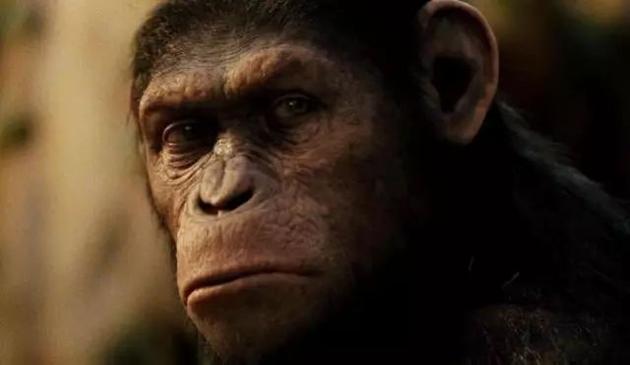 《猩球崛起3》由人类演员扮演的猩猩