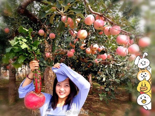 林妙可