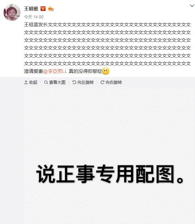 王祖蓝发文澄清妻子未得抑郁症