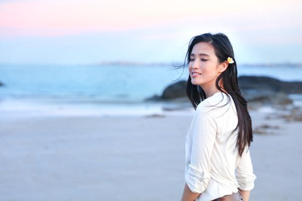 法布雷加斯转会