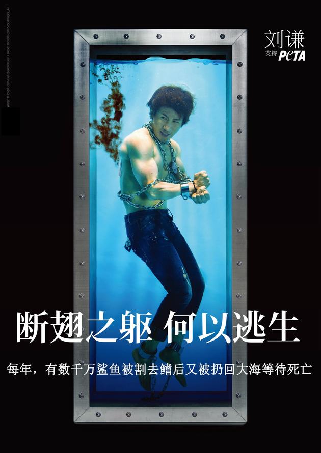 刘谦困于水底双手被锁 拍摄反鱼翅公益广告