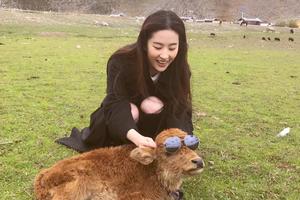 女星游客照盘点 刘亦菲调皮倪妮清新