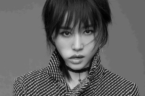 法布雷加斯转会