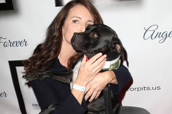 太极虎-爱游戏App官方下载入口-爱游戏