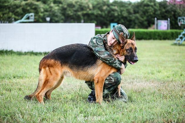 《奇犬》张馨予训狗