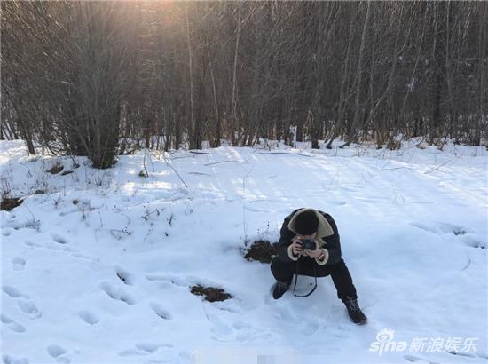 蒋劲夫雪地摄影