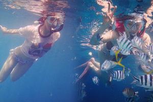 袁姗姗海底与鱼共舞大秀好身材