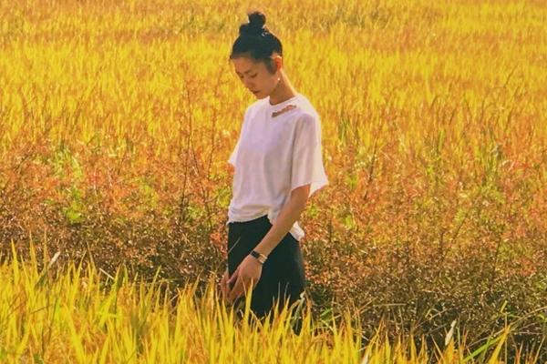 广州恒大vs河南建业