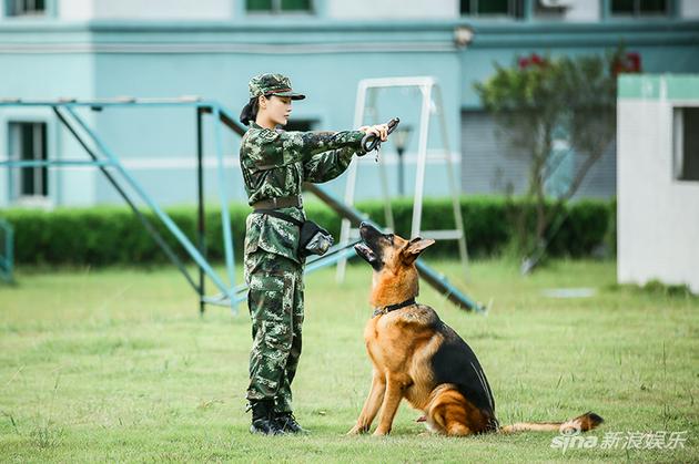 《奇犬》亲和训练再升级 张馨予训犬受挫遇瓶颈