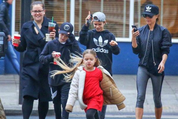 辛辛那提皇家-乐鱼app(leyu)官方网站-乐鱼官网