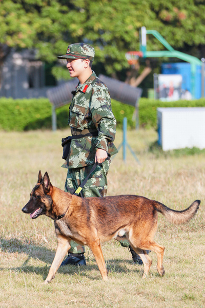 张大大 奇兵神犬