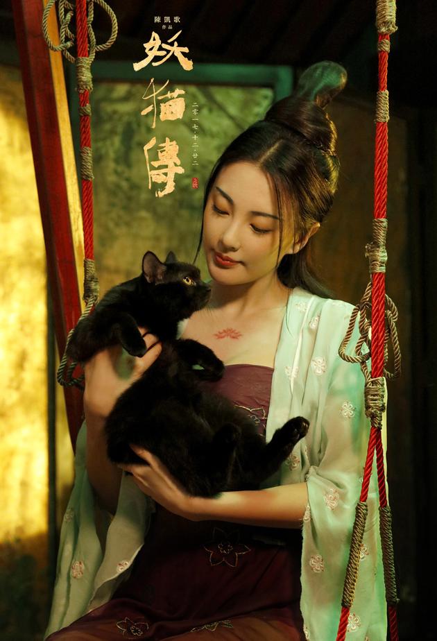 张雨绮与猫