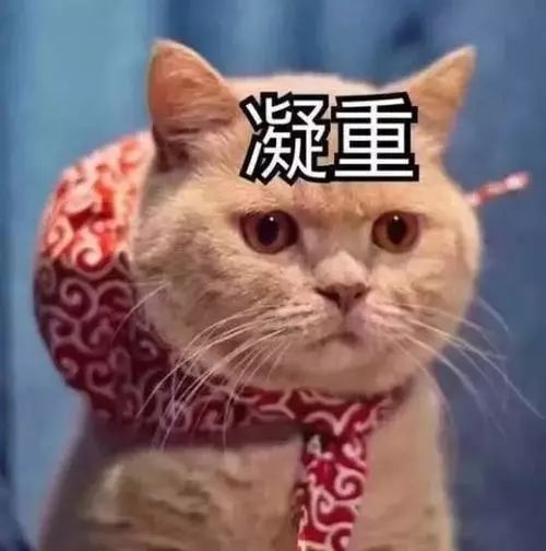 《陈情令》独家探班:肖战和王一博相处靠互怼?