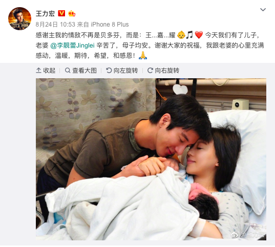 奶爸王力宏罕见开腔谈小儿子：像迷你版的自己