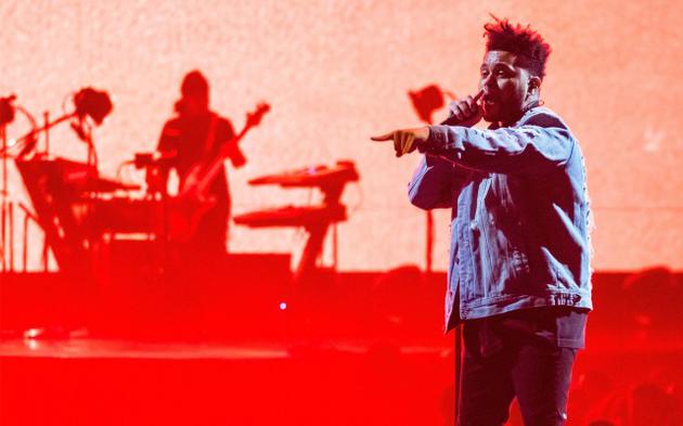 盆栽哥演出现场