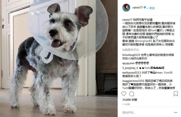 杨丞琳爱犬患病心情低落 李荣浩飞台北探望