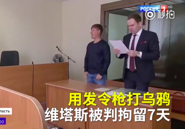 维塔斯