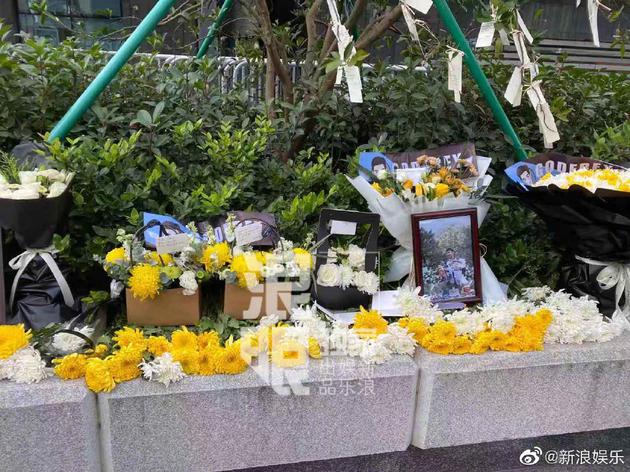 粉丝用菊花追思高以翔
