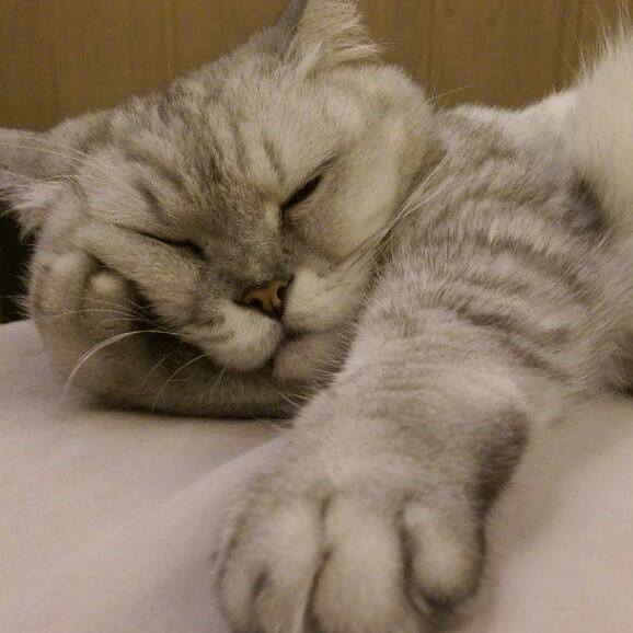 白灰