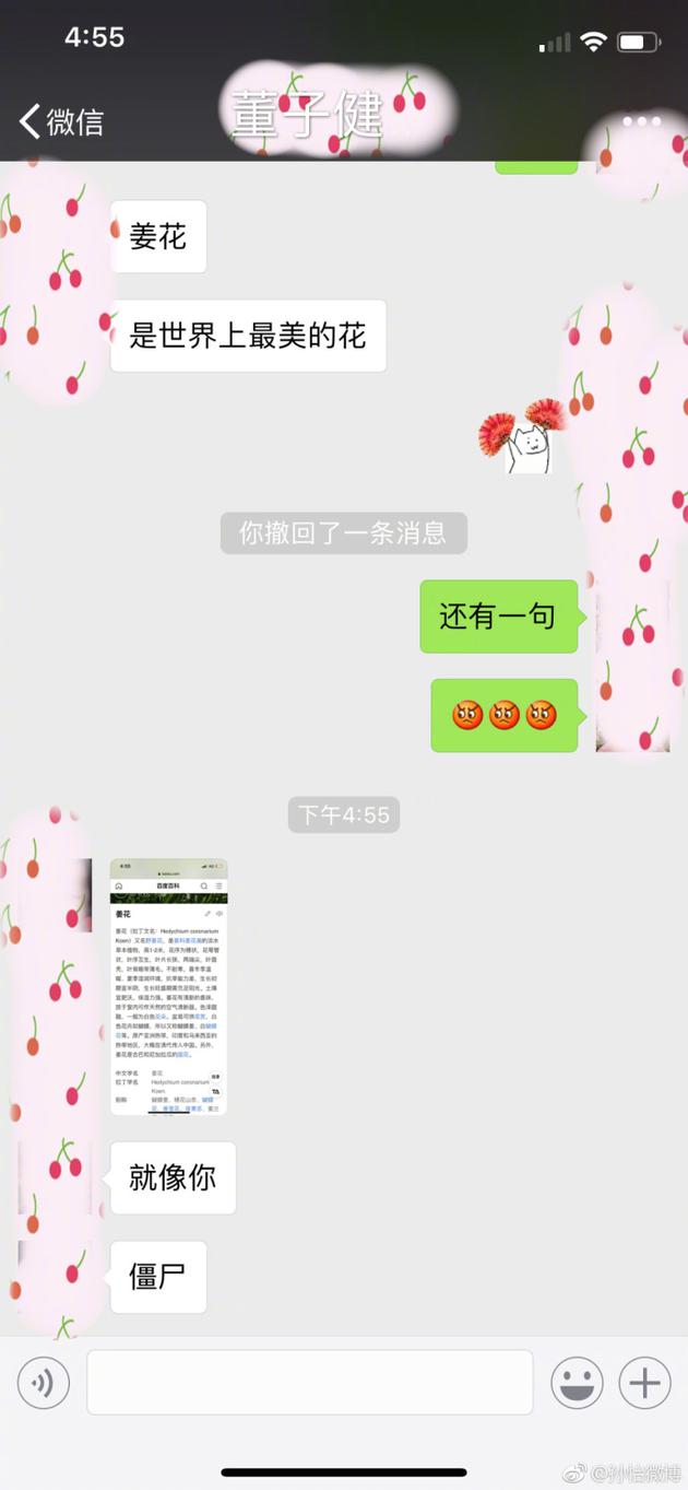 孙怡董子健聊天截图