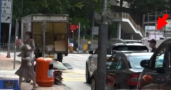 熊黛林郭可頌夫婦現身寵物店