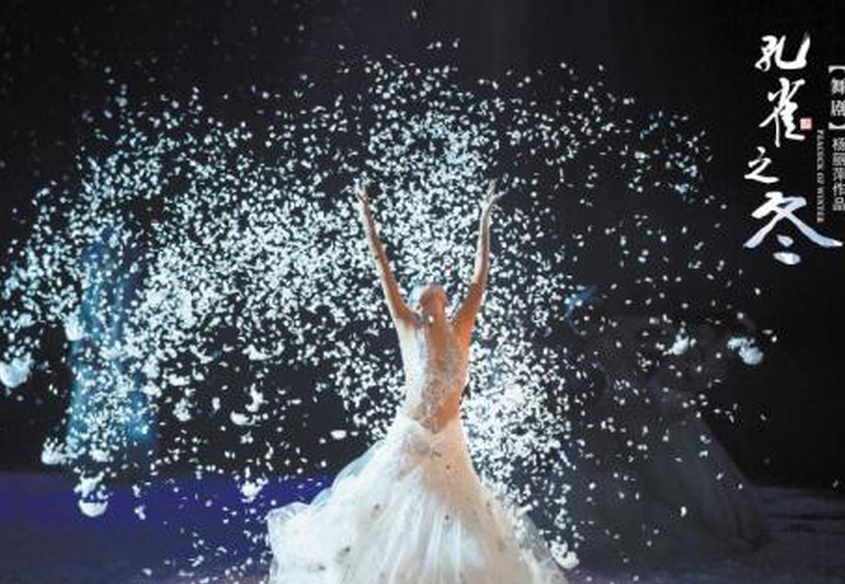 杨丽萍不顾骨折坚持登台再现经典孔雀舞|杨丽萍|孔雀之冬|骨折_新浪娱乐_