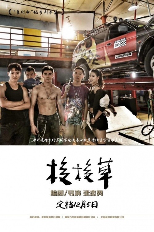 最新皇冠注投网