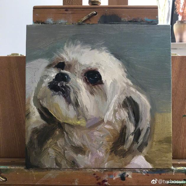 孙俪给爱犬作画