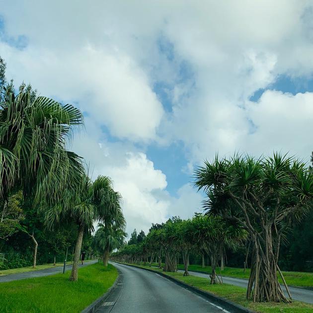 杨丞琳上传的旅行风景照