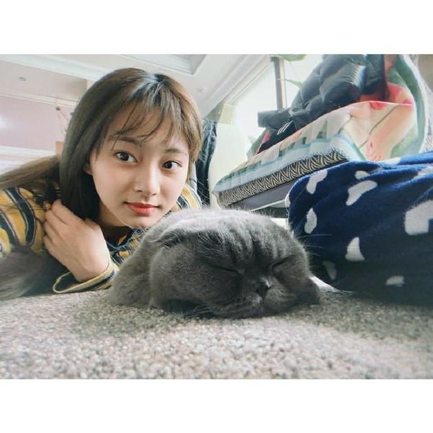周子瑜与猫咪合影