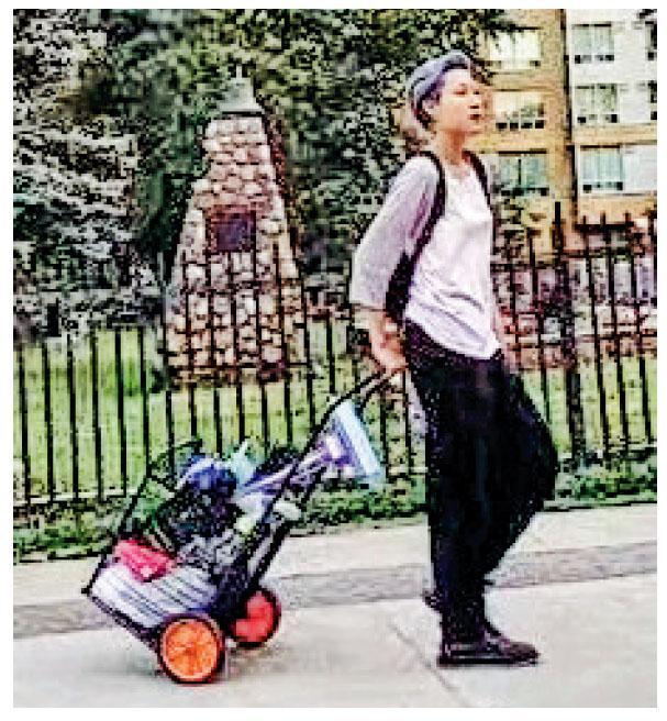 网民日前在多伦多街头遇上吴卓林，当时吴卓林衣著整一起拉着手推车。