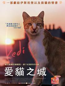 爱猫之城